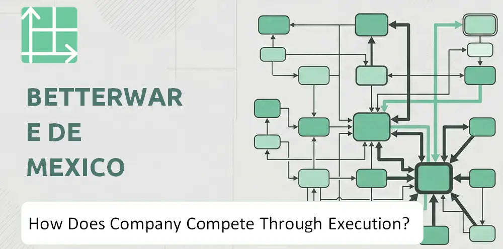 Betterware Company Competitive Execution