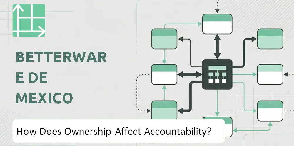 Betterware Company Control Accountability