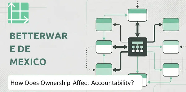 Who Owns Betterware de Mexico Company and How Does Ownership Affect Accountability?