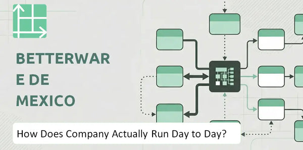 How Does Betterware de Mexico Company Actually Run Day to Day?
