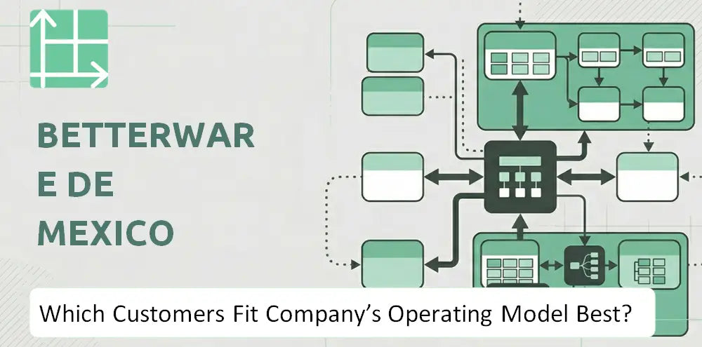 Betterware Company Operational Customer Fit