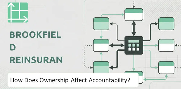 Who Owns Brookfield Reinsurance Company and How Does Ownership Affect Accountability?