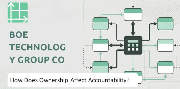 Who Owns BOE Technology Group Co Company and How Does Ownership Affect Accountability?