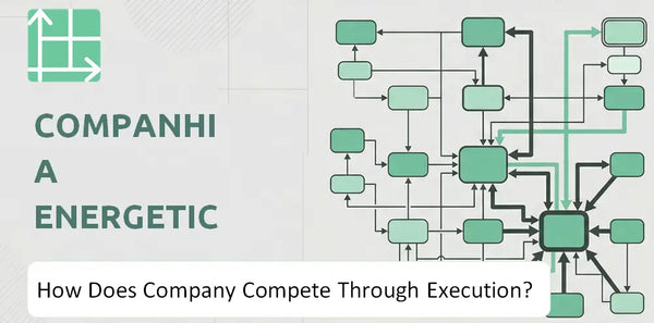 How Does Companhia Energetica de Minas Gerais Company Compete Through Execution?