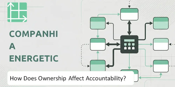 Who Owns Companhia Energetica de Minas Gerais Company and How Does Ownership Affect Accountability?