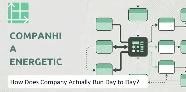 How Does Companhia Energetica de Minas Gerais Company Actually Run Day to Day?