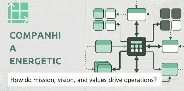 What Do the Mission, Vision, and Values of Companhia Energetica de Minas Gerais Company Reveal About How It Operates?
