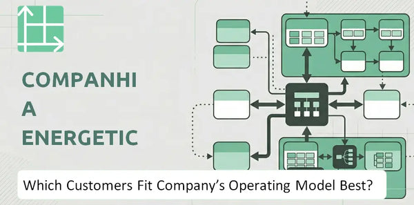 Which Customers Fit Companhia Energetica de Minas Gerais Company's Operating Model Best?
