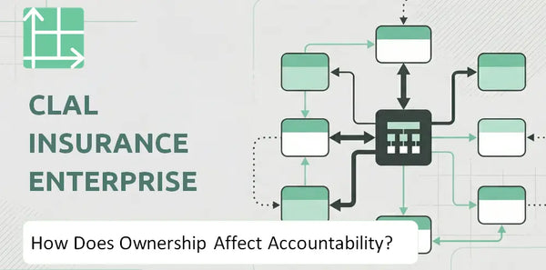 Who Owns Clal Insurance Enterprises Company and How Does Ownership Affect Accountability?