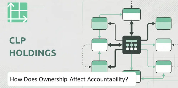 Who Owns CLP Holdings Company and How Does Ownership Affect Accountability?