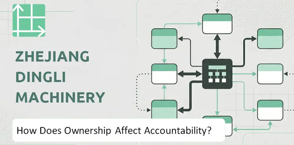 Who Owns Zhejiang Dingli Machinery Company and How Does Ownership Affect Accountability?