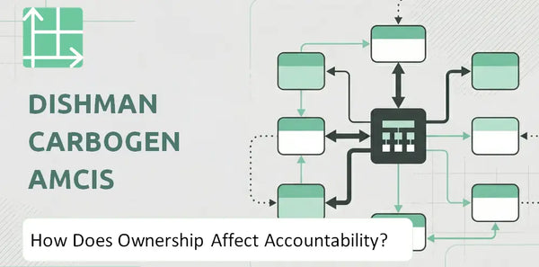 Who Owns Dishman Carbogen Amcis Company and How Does Ownership Affect Accountability?