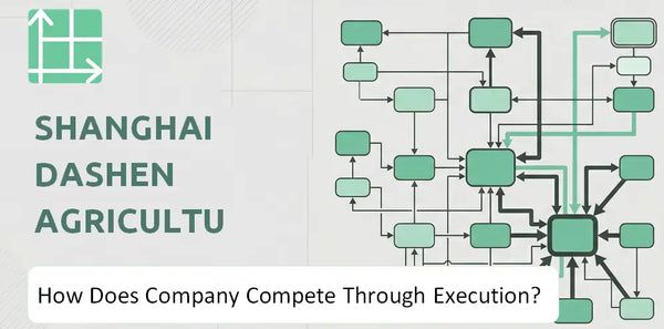 How Does Shanghai Dashen Agriculture Finance Technology Company Compete Through Execution?