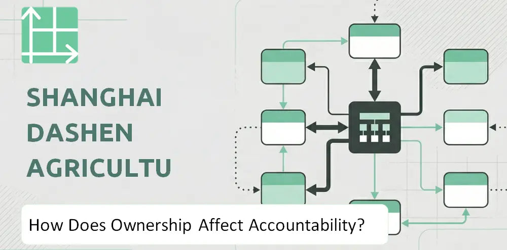 Dsgd Sh Company Control Accountability