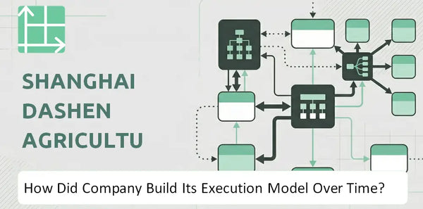 How Did Shanghai Dashen Agriculture Finance Technology Company Build Its Execution Model Over Time?