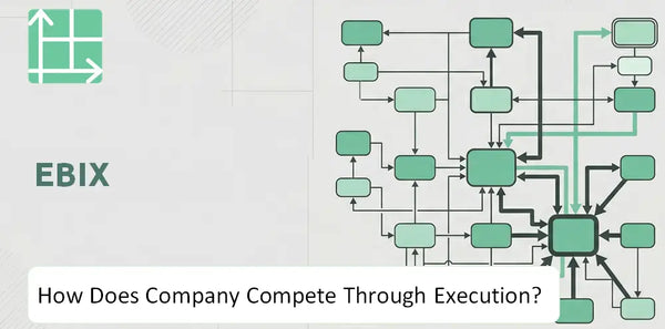 How Does Ebix Company Compete Through Execution?