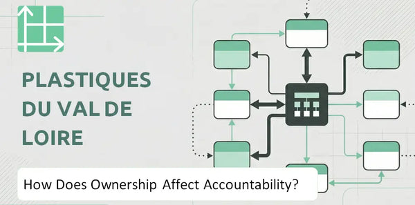 Who Owns Plastiques du Val de Loire Company and How Does Ownership Affect Accountability?