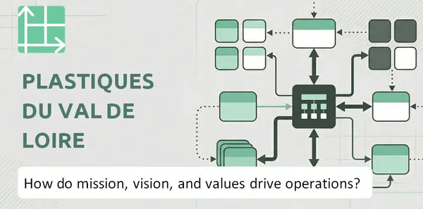 What Do the Mission, Vision, and Values of Plastiques du Val de Loire Company Reveal About How It Operates?