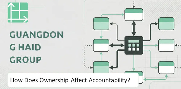 Who Owns Guangdong Haid Group Company and How Does Ownership Affect Accountability?