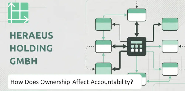 Who Owns Heraeus Holding GmbH Company and How Does Ownership Affect Accountability?