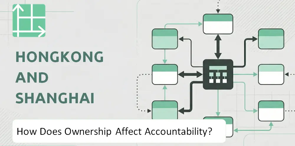 Hshgroup Company Control Accountability