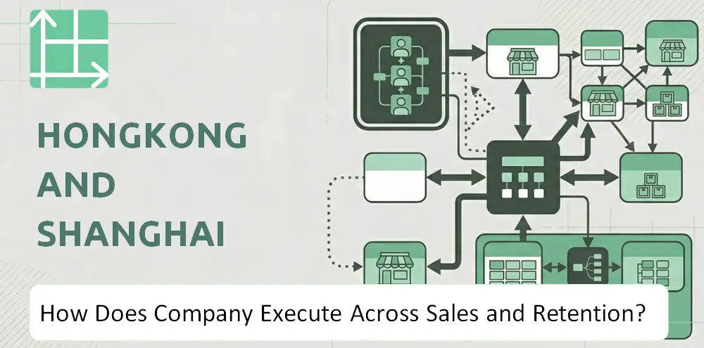 Hshgroup Company Revenue Execution