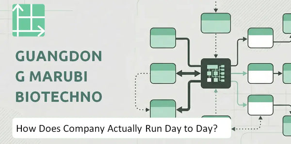 How Does Guangdong Marubi Biotechnology Company Actually Run Day to Day?