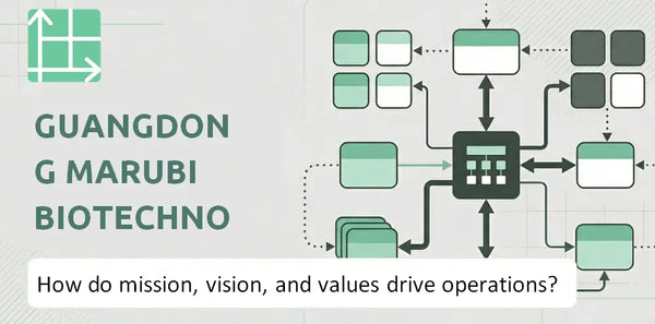 What Do the Mission, Vision, and Values of Guangdong Marubi Biotechnology Company Reveal About How It Operates?