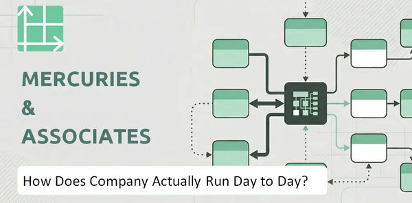 How Does Mercuries & Associates Company Actually Run Day to Day?