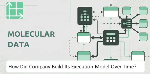 How Did Molecular Data Company Build Its Execution Model Over Time?