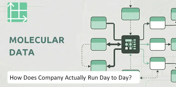 How Does Molecular Data Company Actually Run Day to Day?