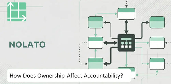 Who Owns Nolato Company and How Does Ownership Affect Accountability?