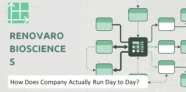 How Does Renovaro Biosciences Company Actually Run Day to Day?