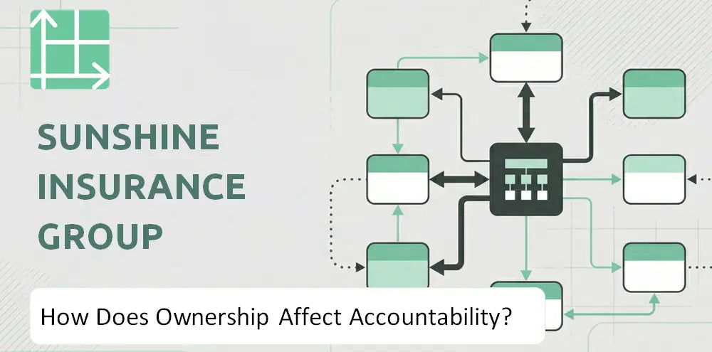 Sinosig Company Control Accountability