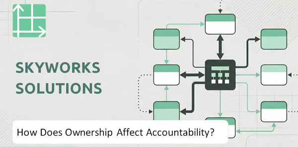 Who Owns Skyworks Solutions Company and How Does Ownership Affect Accountability?