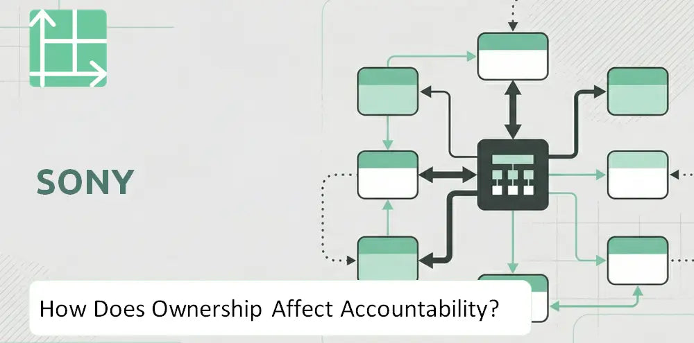 Sony Company Control Accountability