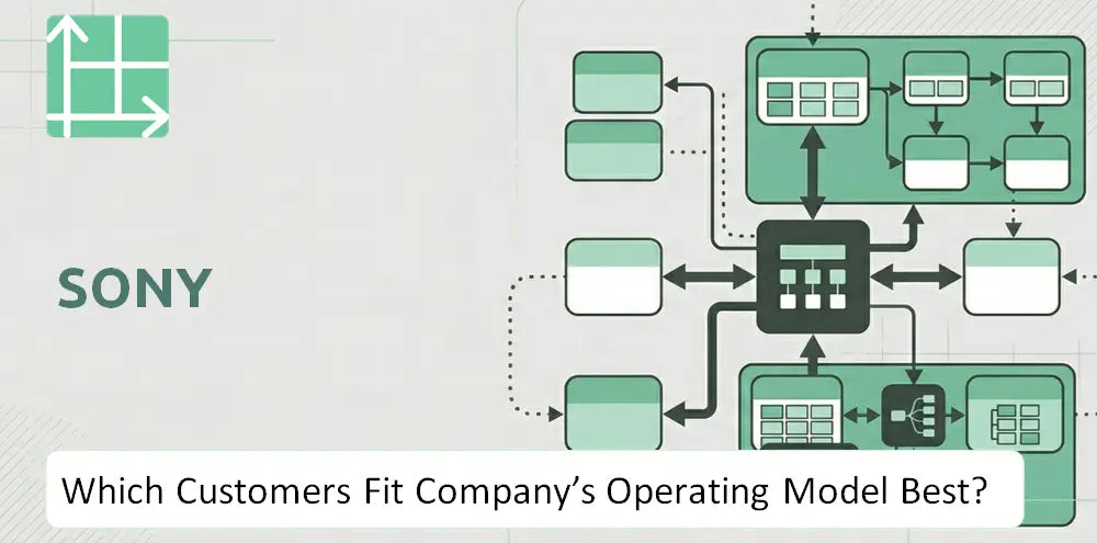 Sony Company Operational Customer Fit