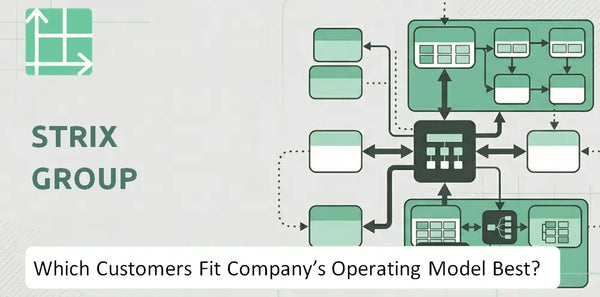 Which Customers Fit STRIX Group Company's Operating Model Best?