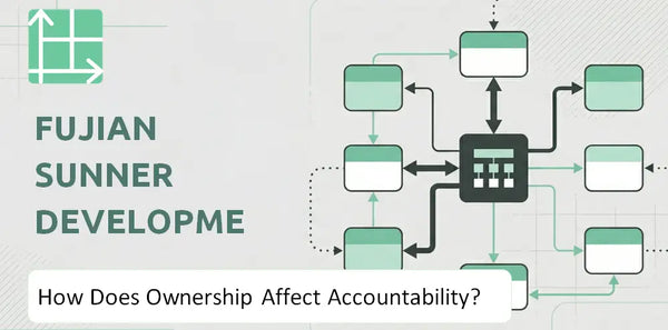 Who Owns Fujian Sunner Development Company and How Does Ownership Affect Accountability?