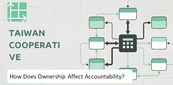 Who Owns Taiwan Cooperative Financial Company and How Does Ownership Affect Accountability?