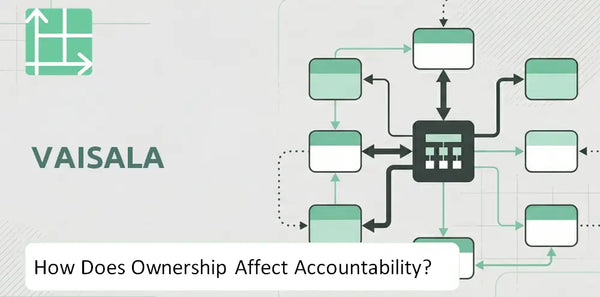Who Owns Vaisala Company and How Does Ownership Affect Accountability?