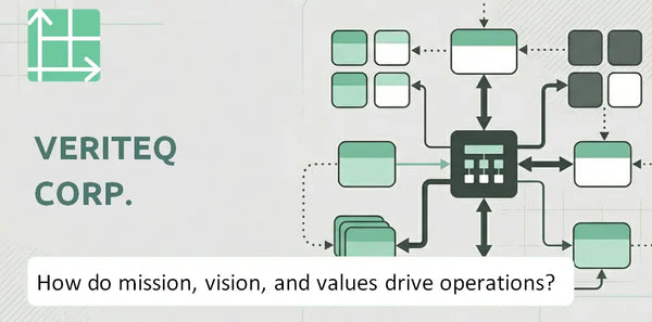 What Do the Mission, Vision, and Values of VeriTeQ Corp. Company Reveal About How It Operates?