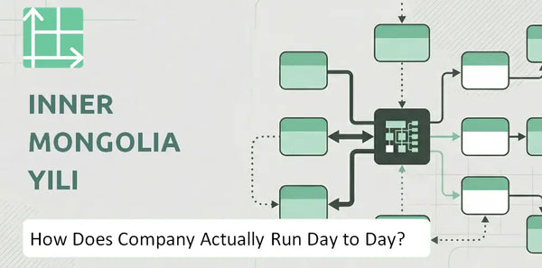 How Does Inner Mongolia Yili Company Actually Run Day to Day?