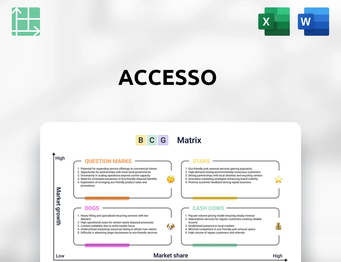 accesso Boston Consulting Group Matrix