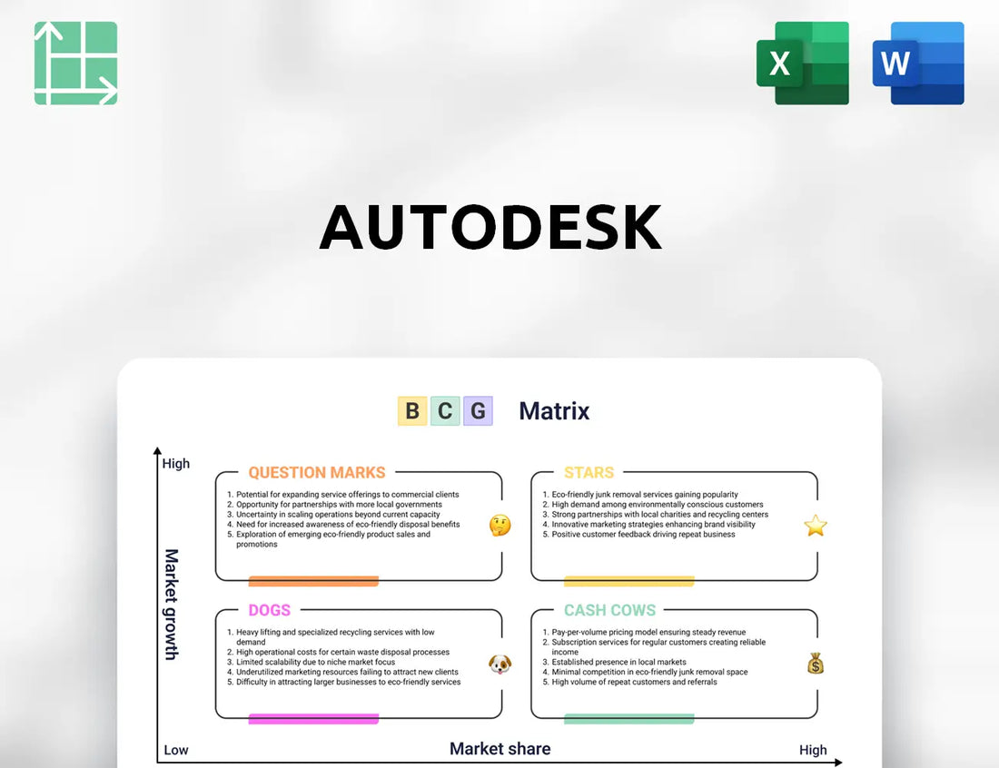 Autodesk Boston Consulting Group Matrix