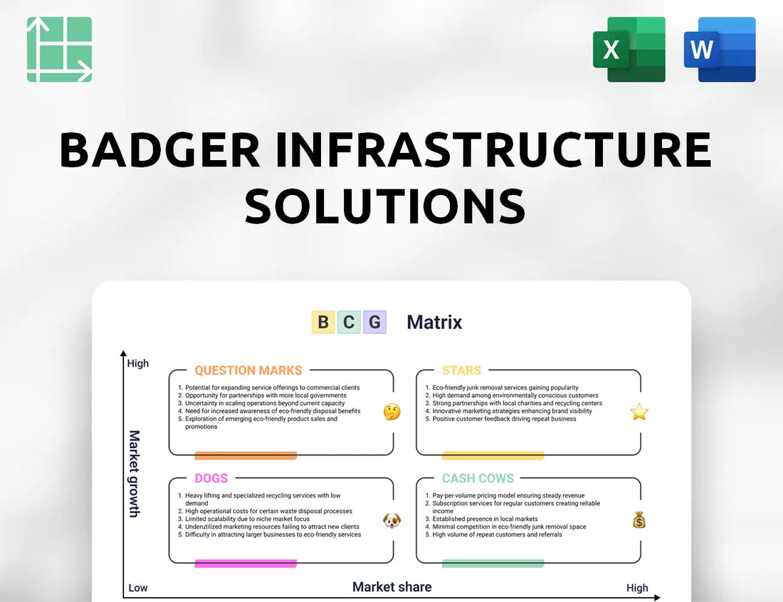 Badger Infrastructure Solutions Boston Consulting Group Matrix