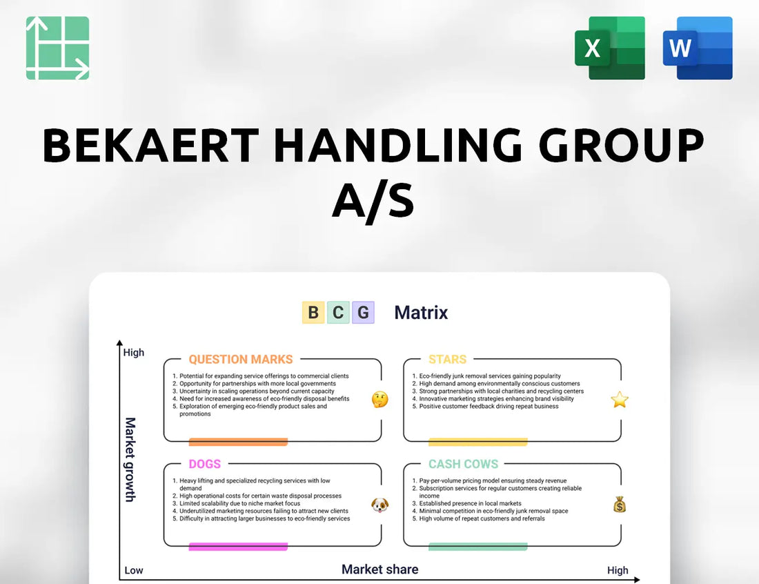Bekaert Handling Group A/S Boston Consulting Group Matrix