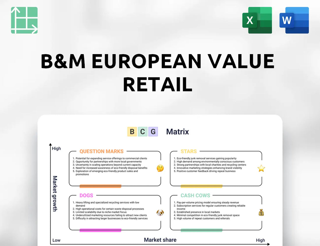 B&M European Value Retail Boston Consulting Group Matrix