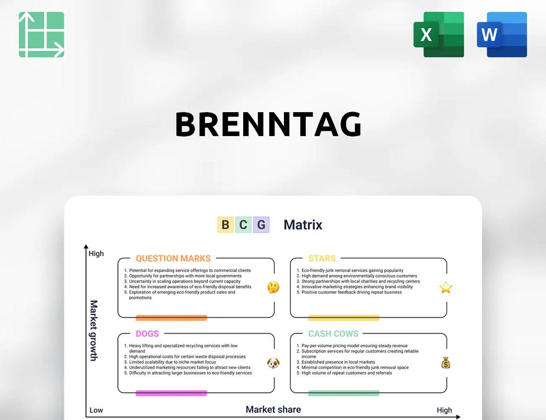 Brenntag Boston Consulting Group Matrix