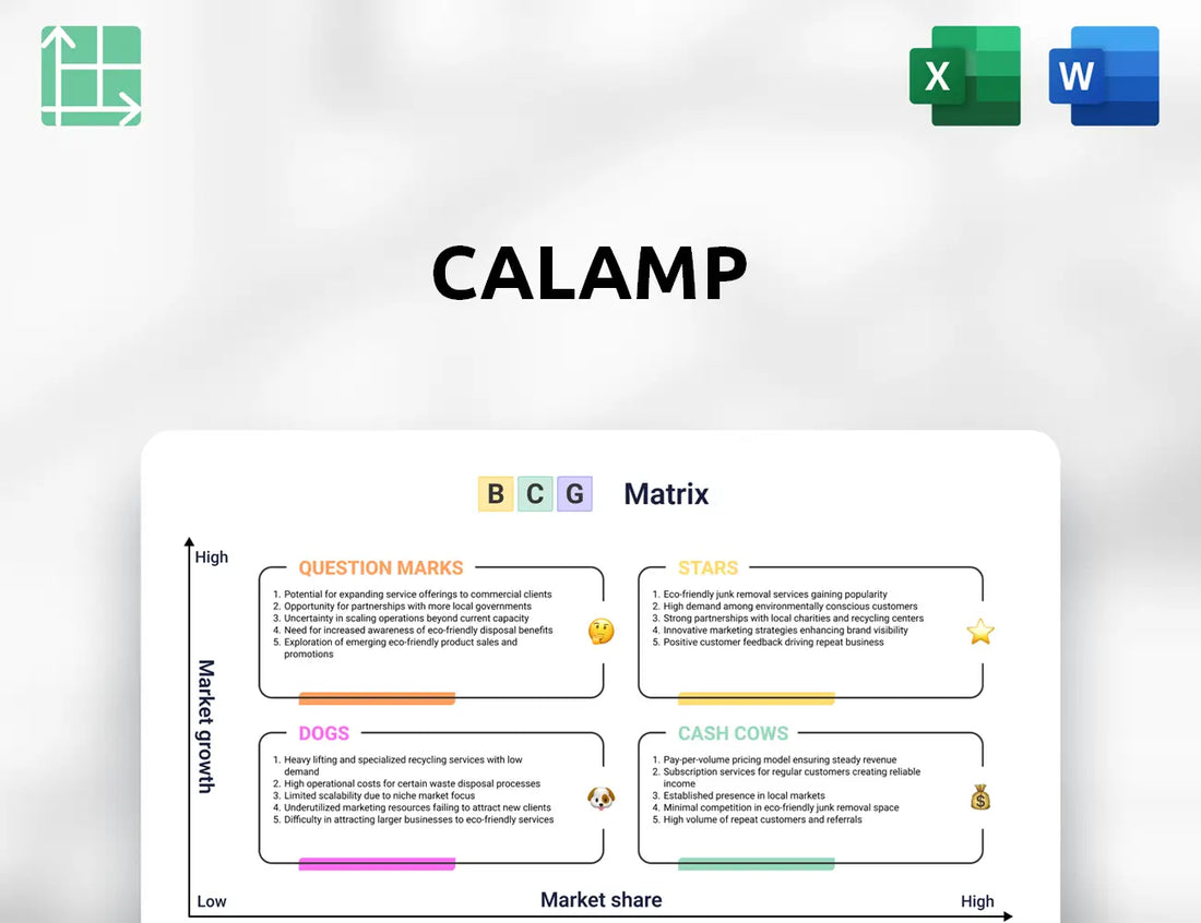 CalAmp Boston Consulting Group Matrix